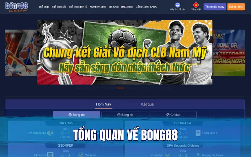 Tổng quan về Bong88